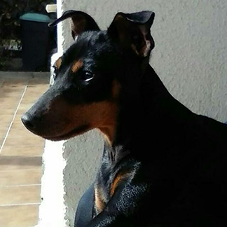 n Cano Odin1
