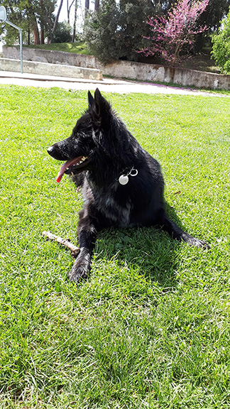 n Cano Odin1